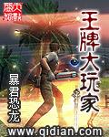 王牌大玩家epub