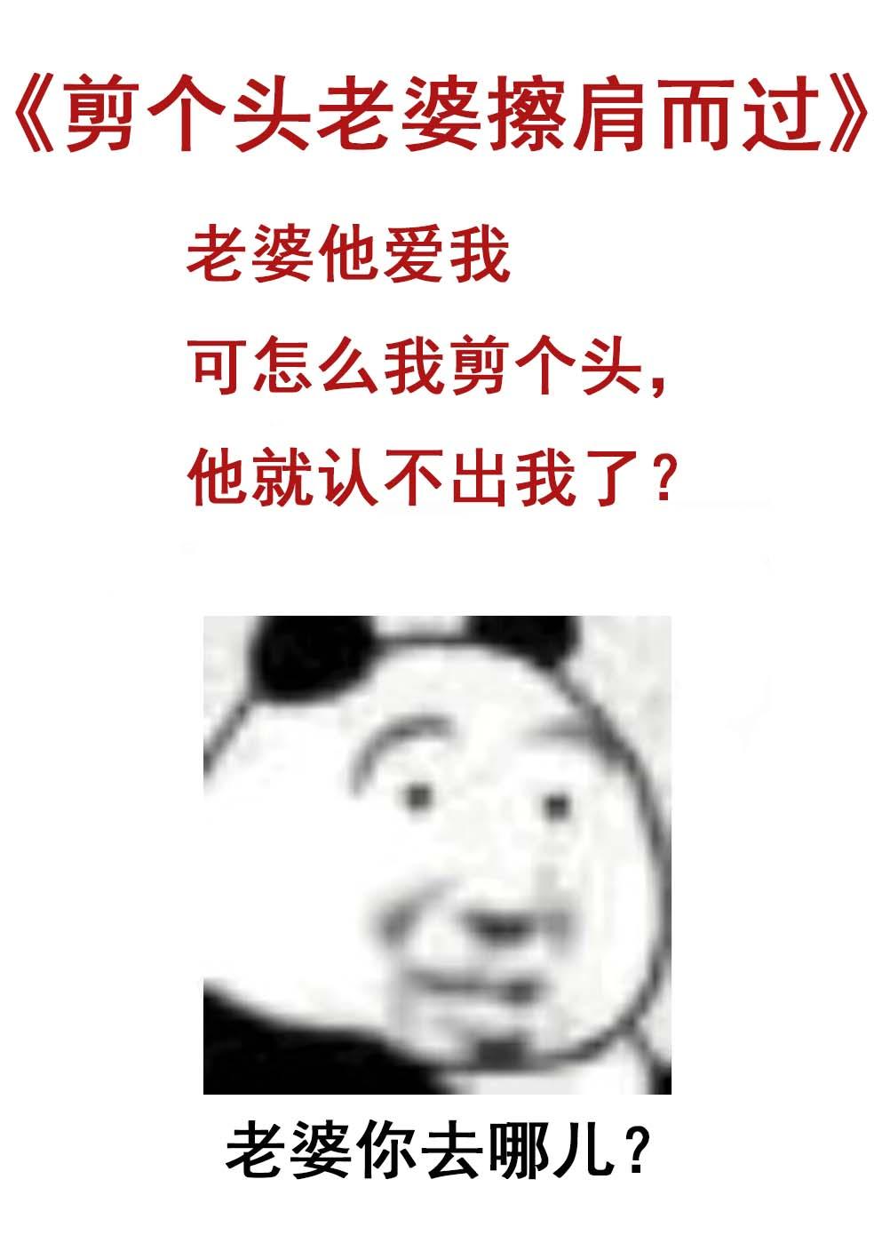 老婆剪头发故事