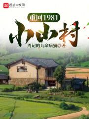 重回1981小山村全文阅读